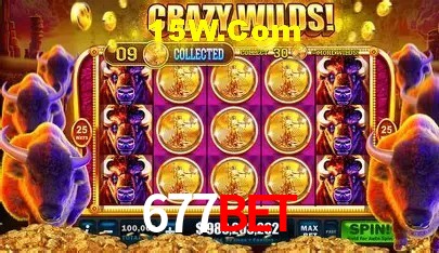 cassino 677BET